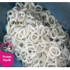 frozen squid ring giant squid/illex squid/todarodes Pacific's